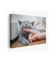 Sevimli Kedi Dekoratif Kanvas Tablo-6505
