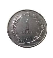 1 lira 1973 yılı koleksiyon madeni para