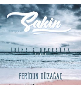 Feridun Düzağaç Sakin - Plak (Standart)