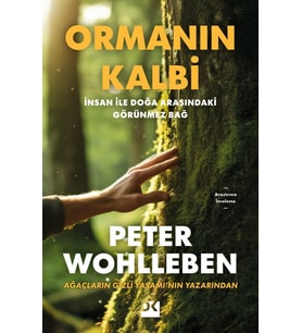 Ormanın Kalbi