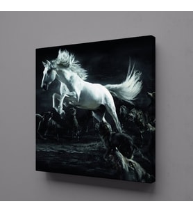 BEYAZ AT KANVAS TABLO 100x100cm (Karışık)