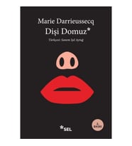 Dişi Domuz