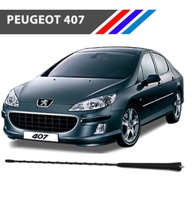 Peugeot 407 Tavan Anten Çubuğu 37 cm 6561JS-6587J0