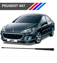 Peugeot 407 Tavan Anten Çubuğu 37 cm 6561JS-6587J0