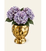 GOLD METAL VAZO -VERA-100250