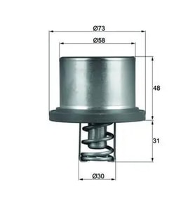 MAHLE THD289 Termostat 94810612501