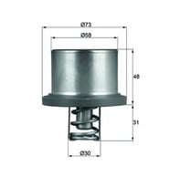 MAHLE THD289 Termostat 94810612501