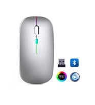 ZR215 Cba100 Rgb Gümüş Şarjlı Mouse (Çok Renkli)
