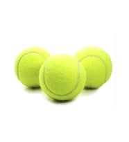 Tenis Topu Antrenman Sarı 3 Adet Birden Köpek Dişleme Topu Oyun Topu