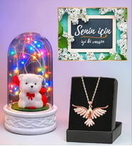 Premium Set Renkli Led Işıklı Fanus ve Zümrüdü Anka Kuşu Kolye (Model 3)