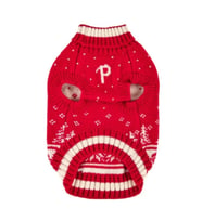 Nevis Turtleneck Knit Köpek Kıyafeti