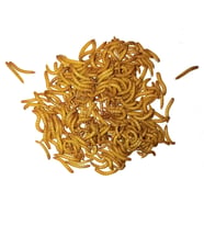 EXOLIVE UN KURDU 100 gram (1000 adet minimum)