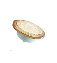 20 Watt Gün Işığı Smd Led Havuz Ampulu / Par 56