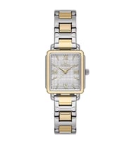 WESSE WWL114905 KADIN KOL SAATİ (Gold)