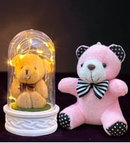 Premium Hediye Seti Led Işıklı Fanus ve Peluş Ayıcık Anahtarlık (Model 6)