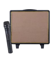 Shile Gt-10 El Mikrofonlu Usb/Sd/Bt Taşınabilir Hoparlör