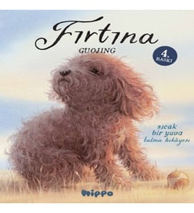 Fırtına