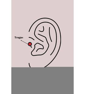 316L Çelik Gümüş Renk Zirkon Taşlı Tragus Piercing TJ-PR1227