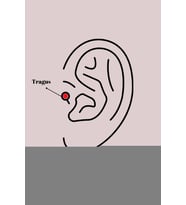 316L Çelik Gümüş Renk Zirkon Taşlı Tragus Piercing TJ-PR1227