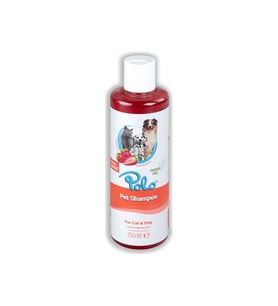 Polo Şampuan Çilek Kokulu 250 Ml