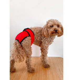 Salya Store Köpek Regl Külotu Kırmızı Kl-101