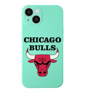Apple iPhone 14  Lansman Kılıf Chicago Bulls  Tasarımlı Altı Kapalı İçi Kadife Kaplı  Kapak (Şeffaf)