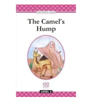 The Camel's Hump