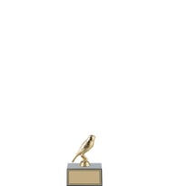 ODAK KUPA - Hediyelik Ürünler - HDY-042 C - 12 cm