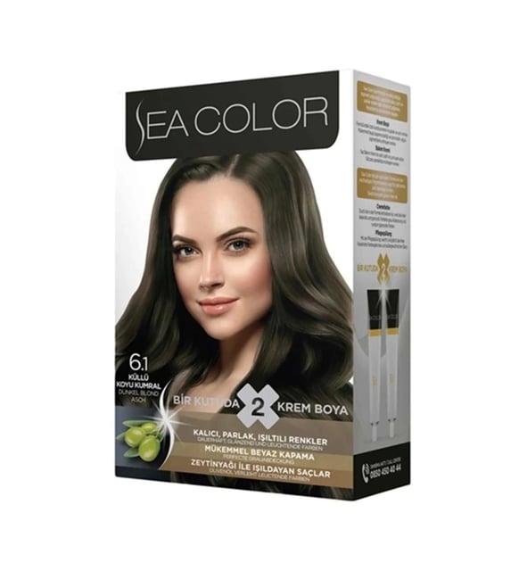 Sea Color Saç Boyası Küllü Koyu Kumral 6/1