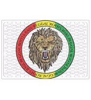 Reggae Puzzle 240 Parça Yapboz