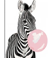 Sakız Çiğneyen Zebra Sayılarla Boyama Seti 50x65 cm (Tuvale Gerili)