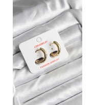 14K Gold Renk Kaplama CM Kadın Küpe - TJ-BKP11411