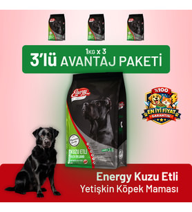 Kuzu Etli Yetişkin Köpek Maması - 3 Adet
