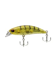 Sea Horse Rs5-Sparkle 50Mm 4Gr Tg-02#