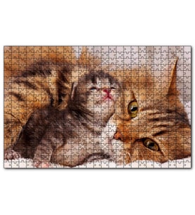 Cakapuzzle Sevimli Tekir ve Minicik Yavrusu Yakın Çekim Puzzle Yapboz MDF (Ahşap) (120 Parça)