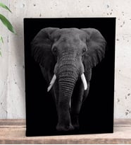 BK Gift Fil Tasarımlı Dekoratif Mini Kanvas Tablo 15x20cm-1