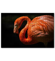 Cakapuzzle İhtiyar Flamingo Karanlık Arkaplan  Puzzle Yapboz MDF (Ahşap) (120 Parça)