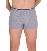 Likralı Erkek Boxer Şort Gri 1097B