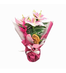Pembe Buket Kağıtlı Polimer Saksıda Pembe Lilyum