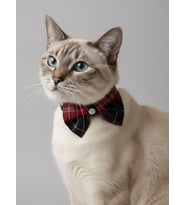 Aristokrat Kedi Papyonu Kurdela Tasma Yılbaşı Noel