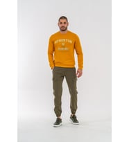 PANTOLON JOGGER HIKING - 520 - N21