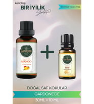 Mango 30 ML + Kavun 10 ML ( Oda Kokusu Aroma Terapi Buhurdanlık / Difüzör Yağı ) Set 2 Adet