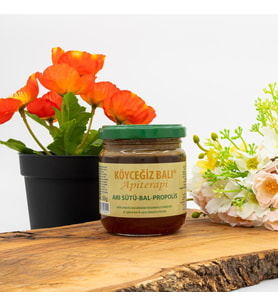 Kb Köyceğiz Balı Arı Sütü Bal Propolis Karışımı 250 G Cam Kavanoz