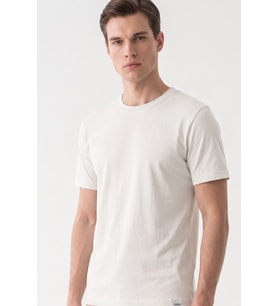 Krem Rengi Bisiklet Yaka Kısa Kol Slim Fit Pamuklu Tişört 1011265166