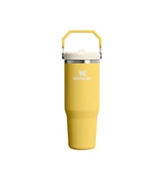 Stanley The IceFlow Flip Straw 2.0 Tumbler 0.89L Pipetli Termos 10-13424-0219 Sarı