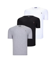 ÜÇLÜ SET T8568 DEWBERRY V YAKA ERKEK T-SHIRT-KOYU SİYAH-KAR BEYAZ-AÇIK GRİ (Karışık)