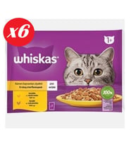 Whiskas Tavuklu ve Hindili Yet. Kedi Maması 4x85Gr Set 6'lı (Çok Renkli)