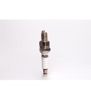 Falcon Buji Cub A7Tc Marshall