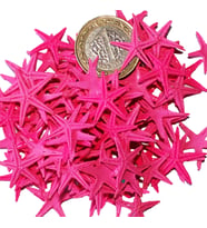 Tahtakale Toptancı Polyester Deniz Yıldızı Minik Boy  0.5 CM- 1.5 CM (100 Adet)  Fuşya