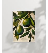 Zeytin Dalı Duvar Poster